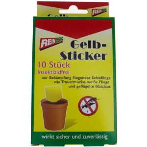 Körperpflege & Kosmetik 